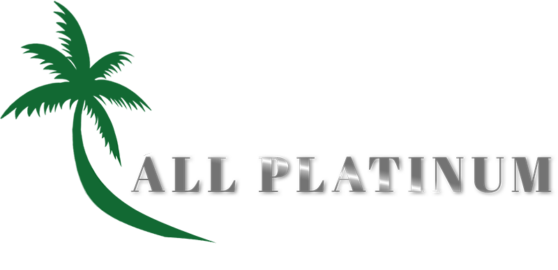 All Platinum Properties Logo